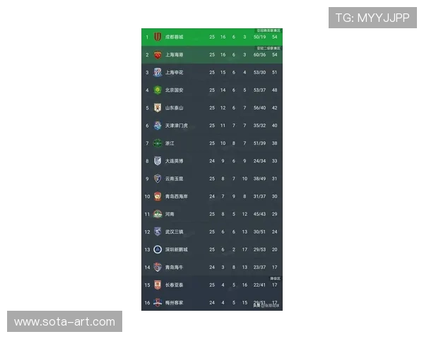 申花力克新鹏城升至积分榜次席中超冠军归属将在最后一轮揭晓